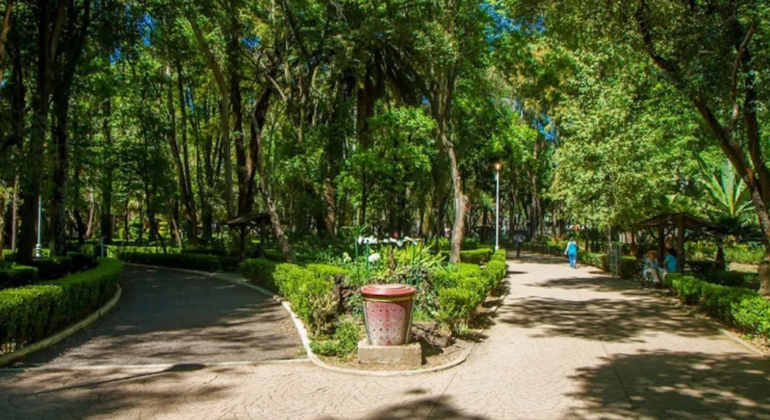 Visita guiada gratuita a La Condesa e La Roma, à noite ou durante o dia