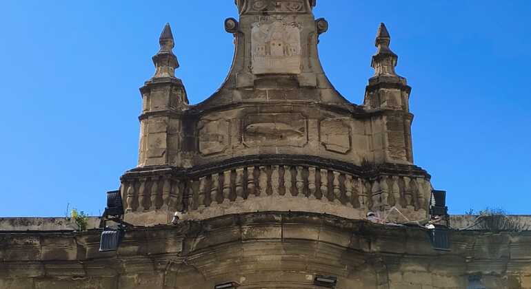 the-must-see-port-free-tour-of-the-city-of-a-hundred-palaces-es-4