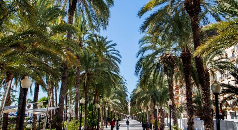 seven-secrets-of-alicante-free-tour-art-culture-and-gastronomy-es-2