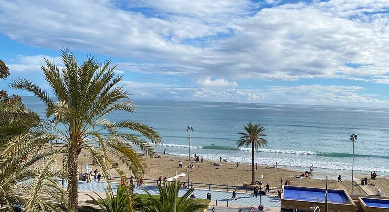 seven-secrets-of-alicante-free-tour-art-culture-and-gastronomy-es-4