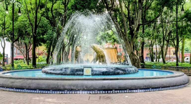 Free Tour of Coyoacán: Frida Kahlo, History, and Colonial Beauty Mexico &mdash; #5