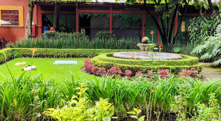 Free Tour of Coyoacán: Frida Kahlo, History, and Colonial Beauty Mexico &mdash; #6