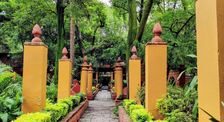Free Tour of Coyoacán: Frida Kahlo, History, and Colonial Beauty Mexico &mdash; #7