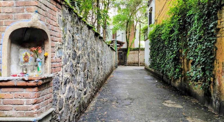Free Tour of Coyoacán: Frida Kahlo, History, and Colonial Beauty Mexico &mdash; #9