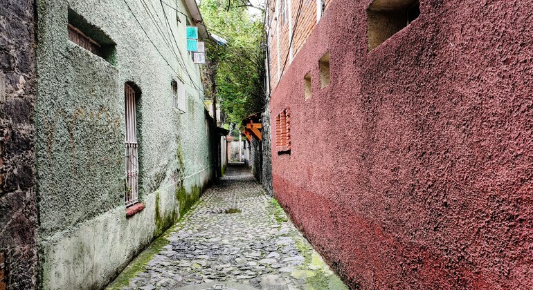Free Tour of Coyoacán: Frida Kahlo, History, and Colonial Beauty Mexico &mdash; #10