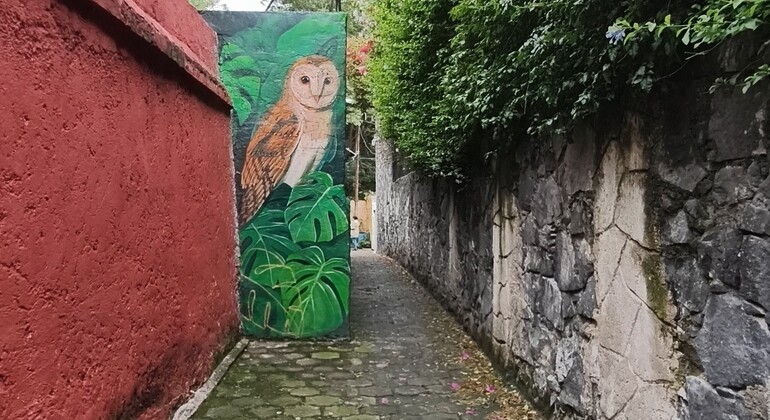 Free Tour of Coyoacán: Frida Kahlo, History, and Colonial Beauty Mexico &mdash; #11