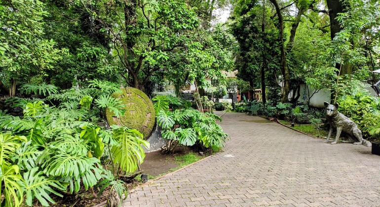 Free Tour of Coyoacán: Frida Kahlo, History, and Colonial Beauty Mexico &mdash; #13