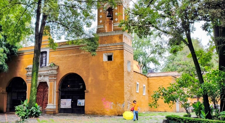 Free Tour of Coyoacán: Frida Kahlo, History, and Colonial Beauty Provided by Free Tour of Coyoacán: Frida Kahlo, History, and Colonial Beauty