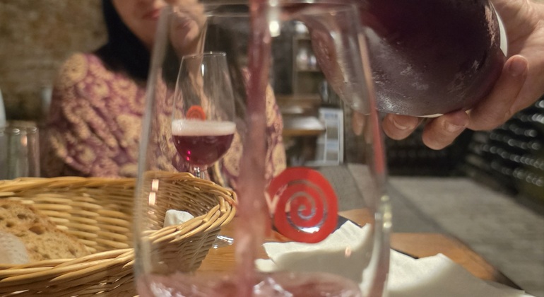 Tour di degustazione di spumanti in una piccola azienda vinicola a conduzione familiare Slovacchia &mdash; #2