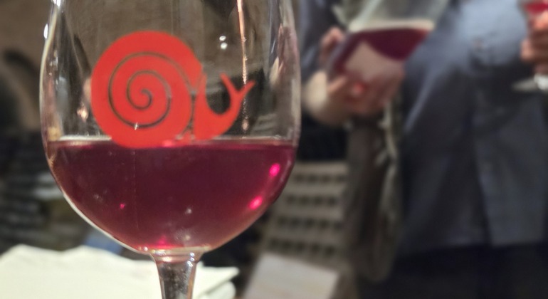 Tour di degustazione di spumanti in una piccola azienda vinicola a conduzione familiare Slovacchia &mdash; #4