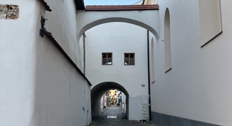free-guided-tour-of-kosice-heart-of-european-culture-and-history-en-14