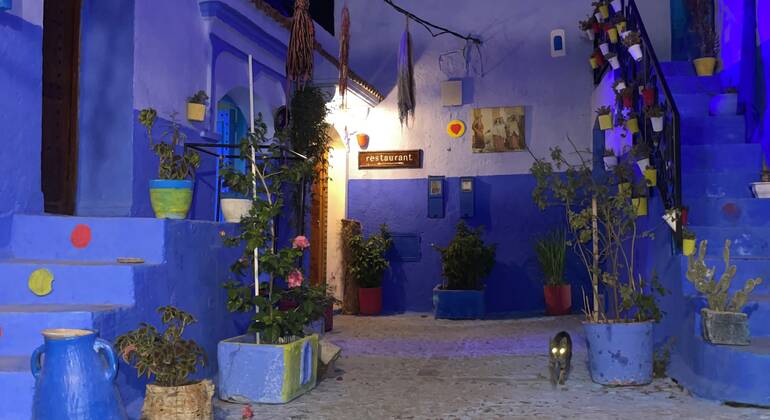 Chefchaouen Free Tour by Night: The Blue City After Dark  Morocco &mdash; #14