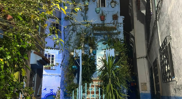 Chefchaouen Free Tour by Night: The Blue City After Dark  Morocco &mdash; #27