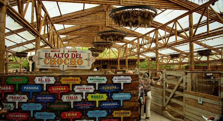 De Medellín a Guatapé: Alto del Chocho, Rock y Zócalos Colombia &mdash; #8
