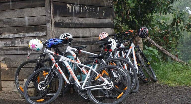 Bike Tour Tengeru Provided by Sana Africa Projects 