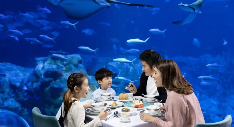 Hong Kong Ocean Park Admission Ticket