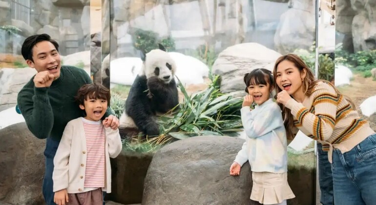 hong-kong-ocean-park-admission-ticket-en-3