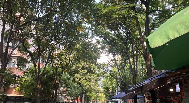 Kostenlose Stadtführung durch Chengdu: Essen, Markt & das Leben vor Ort  China &mdash; #3