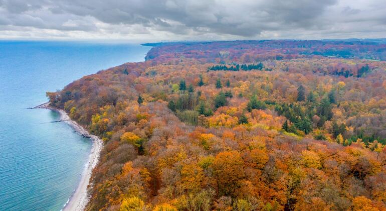 The Secret Nature of Aarhus: Forests, Deer, and the Coast Denmark &mdash; #4