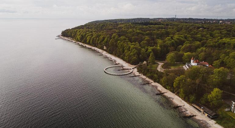 The Secret Nature of Aarhus: Forests, Deer, and the Coast Denmark &mdash; #5
