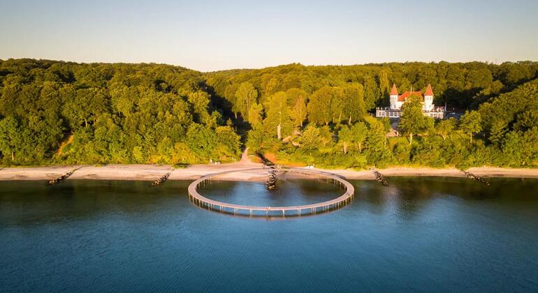 The Secret Nature of Aarhus: Forests, Deer, and the Coast Denmark &mdash; #6