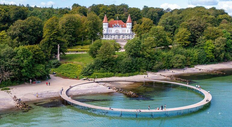 The Secret Nature of Aarhus: Forests, Deer, and the Coast Denmark &mdash; #7