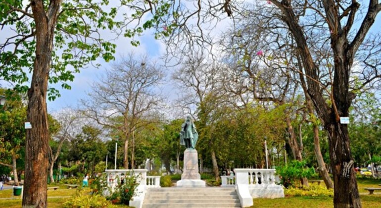 Passeio a pé pelo Prado e pelo centro da cidade Colômbia &mdash; #4