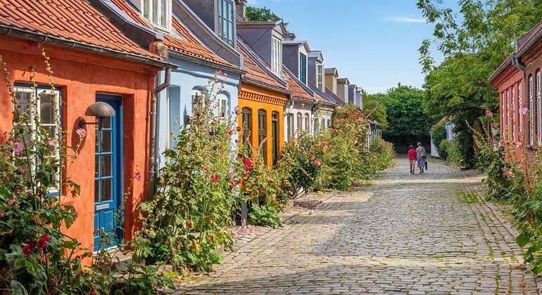 Aarhus in Full: History, Culture, and Danish Life Denmark &mdash; #7