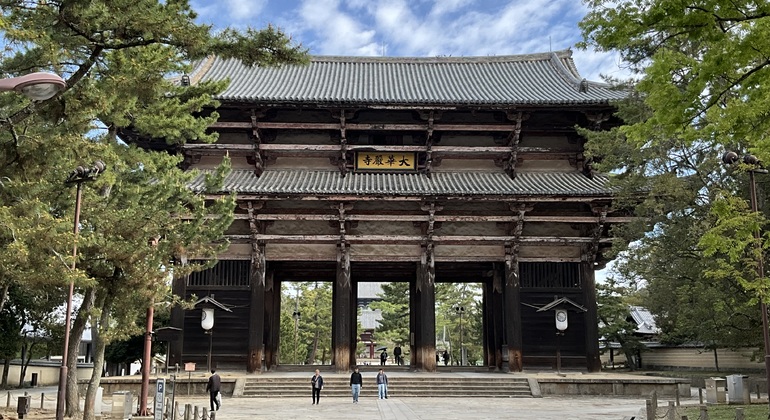Lo más destacado de Nara: paseo con los ciervos y lugares declarados Patrimonio de la Humanidad Japón &mdash; #2