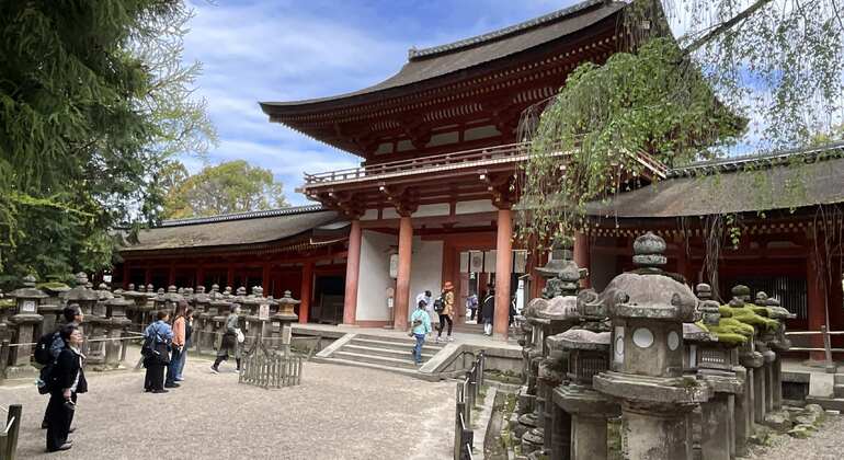 Lo más destacado de Nara: paseo con los ciervos y lugares declarados Patrimonio de la Humanidad Japón &mdash; #9