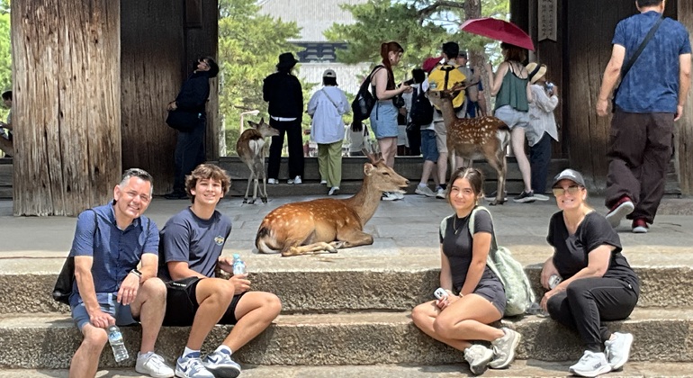 Lo más destacado de Nara: paseo con los ciervos y lugares declarados Patrimonio de la Humanidad Japón &mdash; #5
