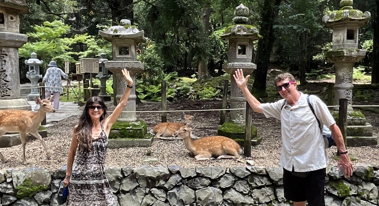 Lo más destacado de Nara: paseo con los ciervos y lugares declarados Patrimonio de la Humanidad Japón &mdash; #12