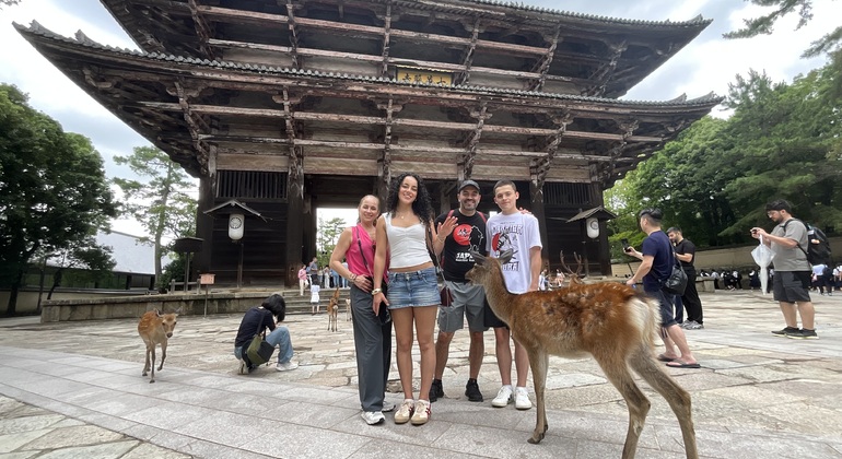 Lo más destacado de Nara: paseo con los ciervos y lugares declarados Patrimonio de la Humanidad Japón &mdash; #6