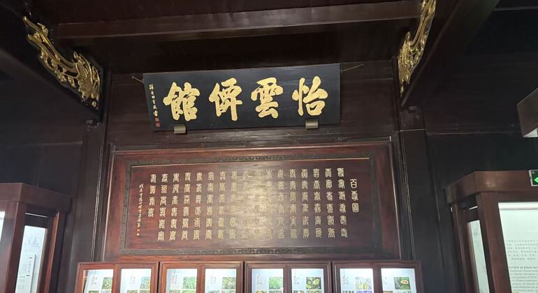Hangzhou selon Hu Xueyan : visite guidée gratuite sur le thème du commerce et de la médecine Chine &mdash; #2