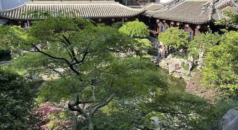 Hangzhou selon Hu Xueyan : visite guidée gratuite sur le thème du commerce et de la médecine Chine &mdash; #6