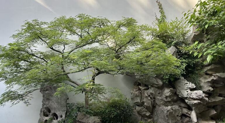 Hangzhou selon Hu Xueyan : visite guidée gratuite sur le thème du commerce et de la médecine Chine &mdash; #14