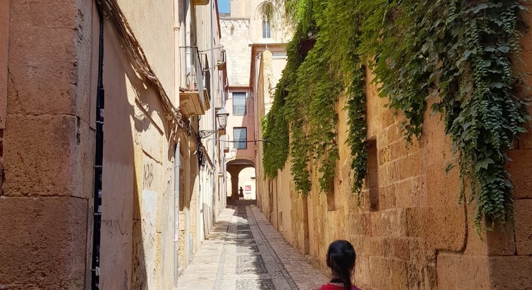 Complete Free Tour of Tarragona: A Journey into the Past Spain &mdash; #2
