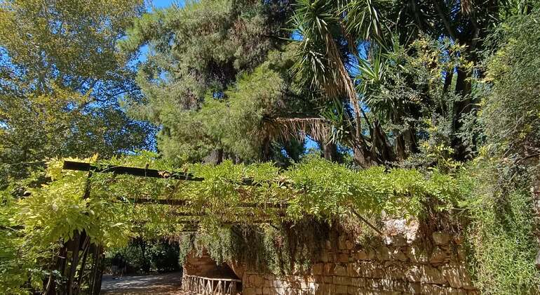 Free Tour – Discovering the National Garden of Athens Provided by Free Tour – Discovering the National Garden of Athens
