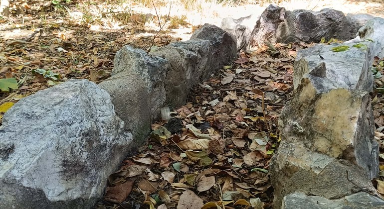 Free Tour – Discovering the National Garden of Athens Greece &mdash; #5
