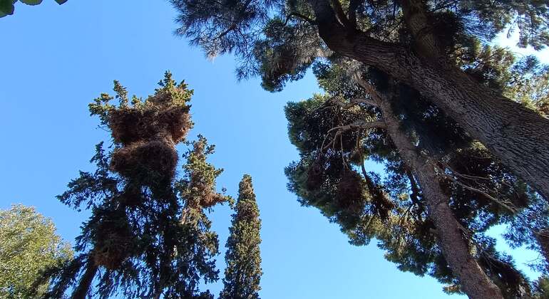 Free Tour – Discovering the National Garden of Athens Greece &mdash; #7
