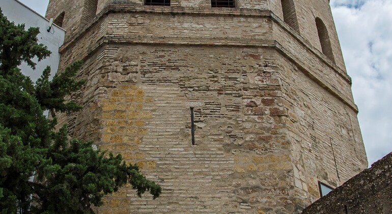 Free Tour por el Casco Histórico de Sevilla España &mdash; #5