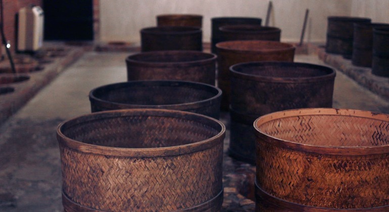 tea-ceremony-tea-tasting-experience-with-qipao-es-8
