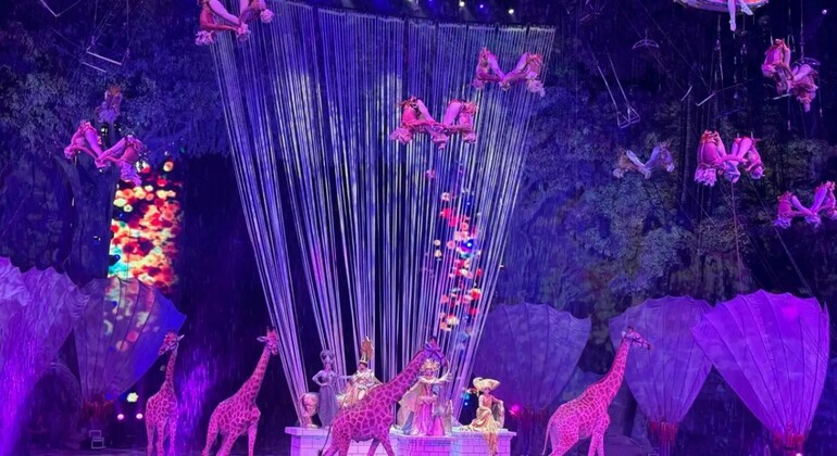 Chimelong International Circus Provided by Chimelong International Circus