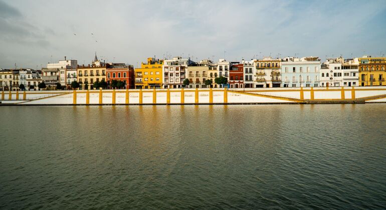 Free Tour di Triana Fornito da Free Tour of Triana