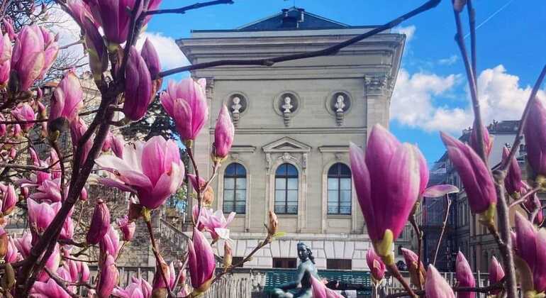 geneva-interactive-tour-history-culture-inside-stories-en-4