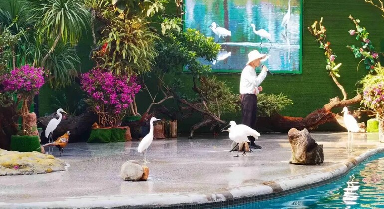 Guangzhou: Chimelong Birds Park Tour China &mdash; #2