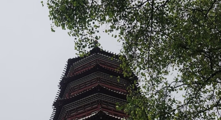 Guangzhou: Half-day Tour through the Oldest Temples & Local Culture China &mdash; #10