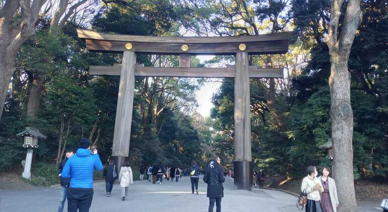 Free Tour of Yoyogi Park and Meiji Shrine Japan &mdash; #2