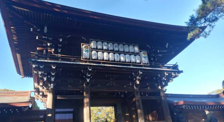 Free Tour of Yoyogi Park and Meiji Shrine Japan &mdash; #3