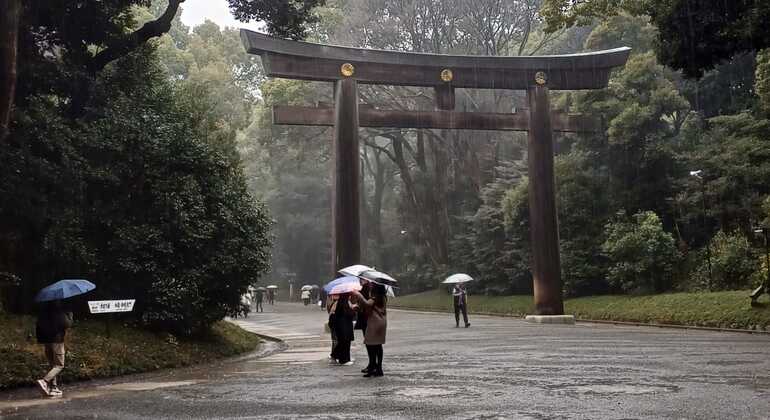 Free Tour of Yoyogi Park and Meiji Shrine Japan &mdash; #4